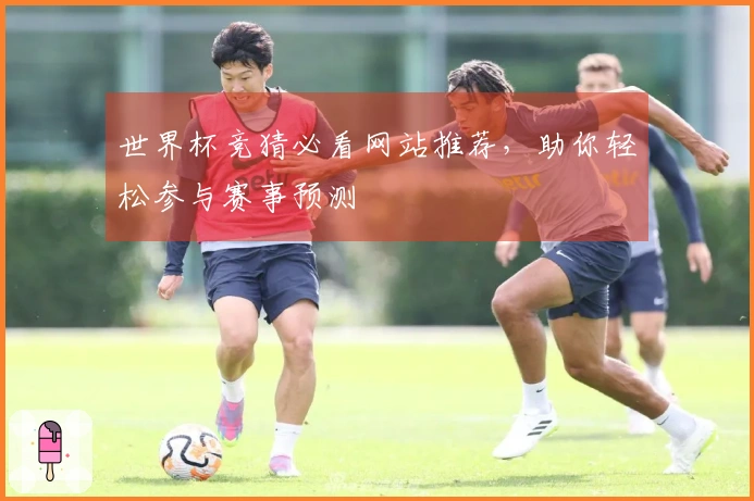 世界杯竞猜必看网站推荐，助你轻松参与赛事预测