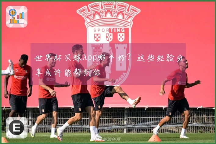 世界杯买球App哪个好？这些经验分享或许能帮到你