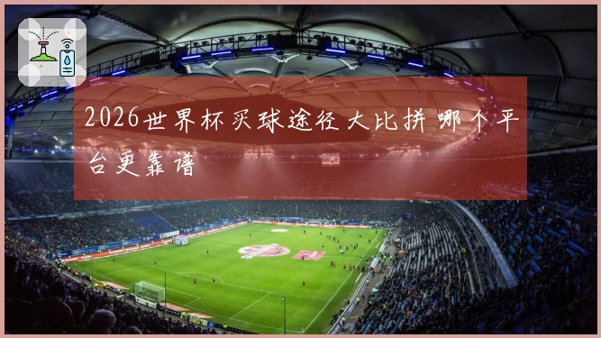 2026世界杯买球途径大比拼 哪个平台更靠谱