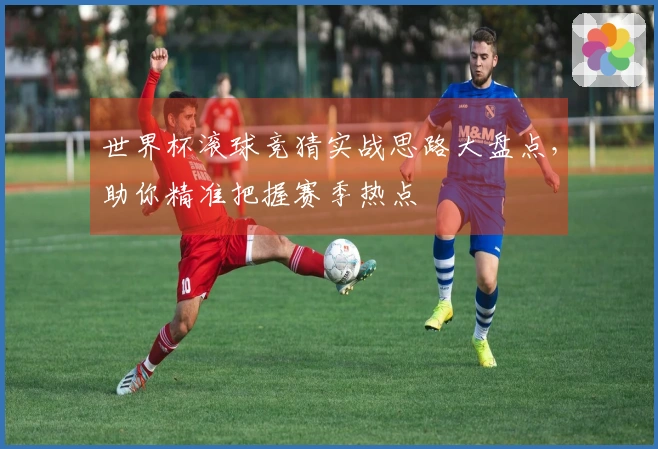 世界杯滚球竞猜实战思路大盘点，助你精准把握赛季热点
