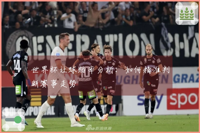 世界杯让球赔率分析：如何精准判断赛事走势
