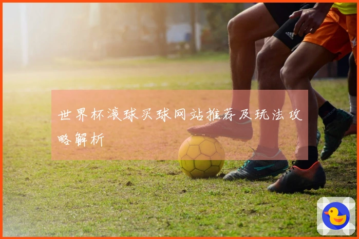 世界杯滚球买球网站推荐及玩法攻略解析
