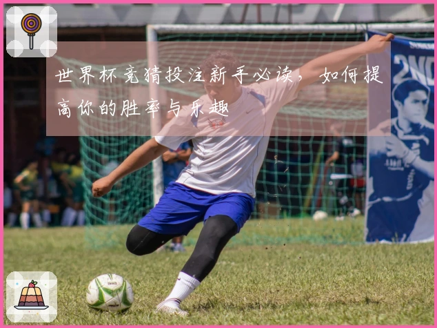 世界杯竞猜投注新手必读，如何提高你的胜率与乐趣
