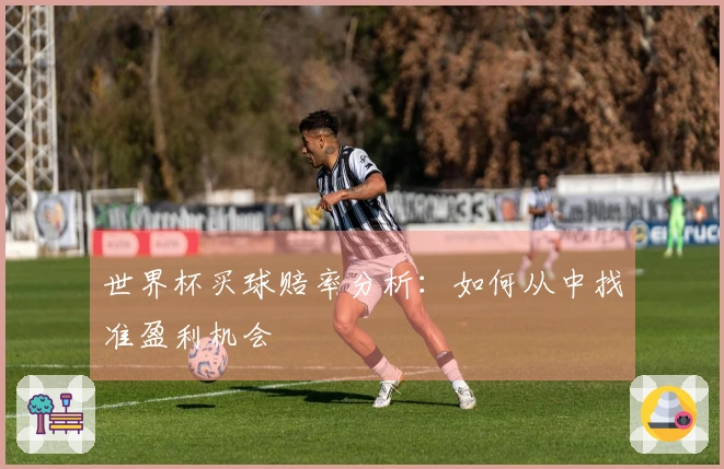 世界杯买球赔率分析：如何从中找准盈利机会